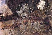 John William Waterhouse The Enchanted Garden Spain oil painting artist